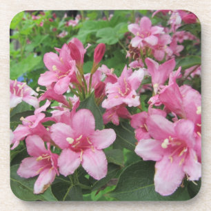 Porta-copo Flores Cor-de-Rosa da Alemanha