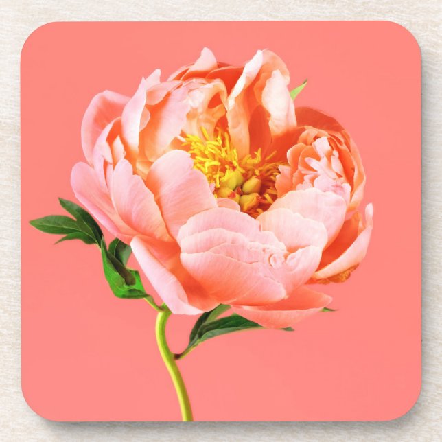 Porta-copo Flores | Coral Peony Blossom (Frente)