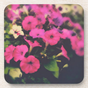 Porta-copo Flores da Grocery Store