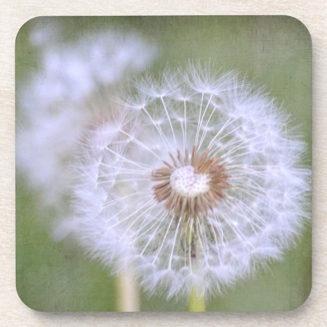 Porta-copo Flores Dandelion (Frente)