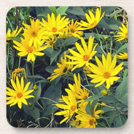 Porta-copo Flores de Alcachofra de Jerusalém
