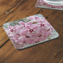 Porta-copo Flores De Fábrica De Hoya Rosa Floral