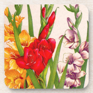 Porta-copo flores de gladiola flores de gladioli