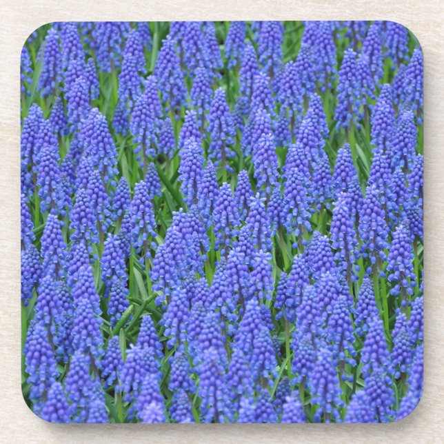 Porta-copo Flores de muscari azuis bonito (Frente)