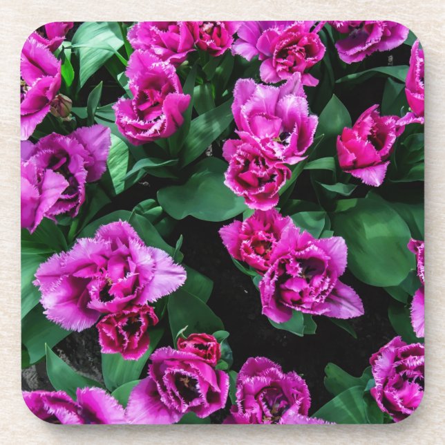 Porta-copo Flores de tulipas rosa (Frente)