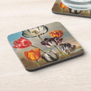 Porta-copo Flores de Tulipas Variegadas Vintage em uma Paisag