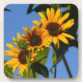 Porta-copo Flores en mi hierbas " flores em minhas ervas dani