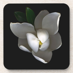 Porta-copo Flores Flor Solteiro Magnolia Branca