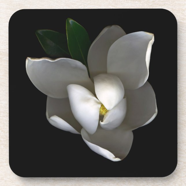 Porta-copo Flores | Flor Solteiro Magnolia Branca (Frente)