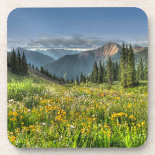 Porta-copo Flores   Flores selvagens Silverton Colorado