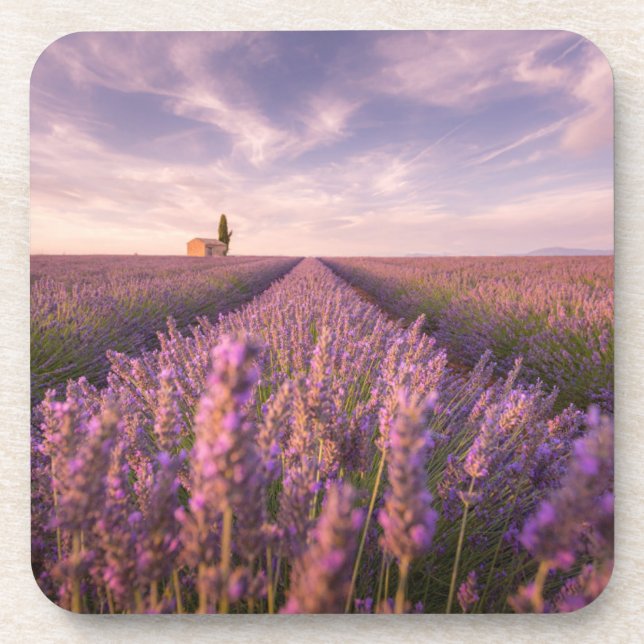 Porta-copo Flores | França Lavanda do Sul (Frente)