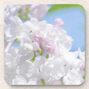 Porta-copo Flores Lilac