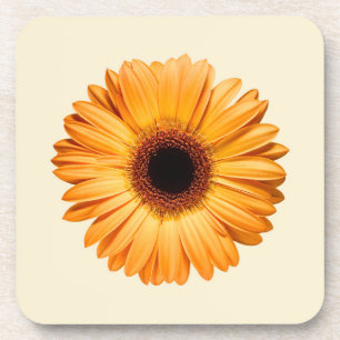 Porta-copo Flores Orange Gerbera