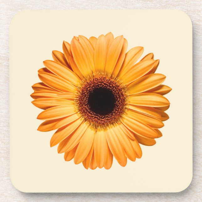 Porta-copo Flores | Orange Gerbera (Frente)