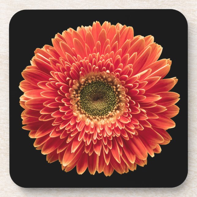 Porta-copo Flores | Orange Gerbera Daisy (Frente)