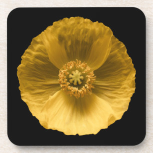 Porta-copo Flores Papoila amarela