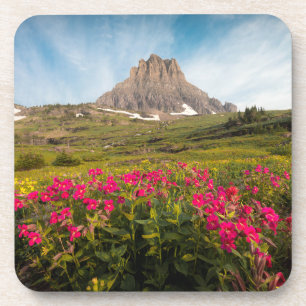 Porta-copo Flores Parque Nacional Glacier de Montana