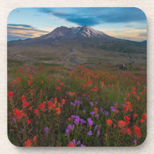 Porta-copo Flores   Pincel-da-índia