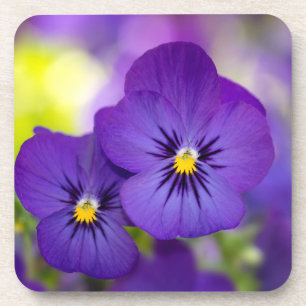 Porta-copo Flores   Pintas Roxas