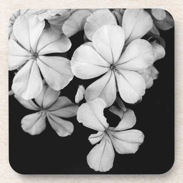 Porta-copo Flores pretas e brancas close-up (Frente)