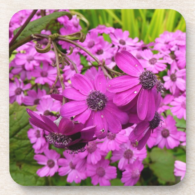 Porta-copo Flores Roxas de São Francisco (Frente)