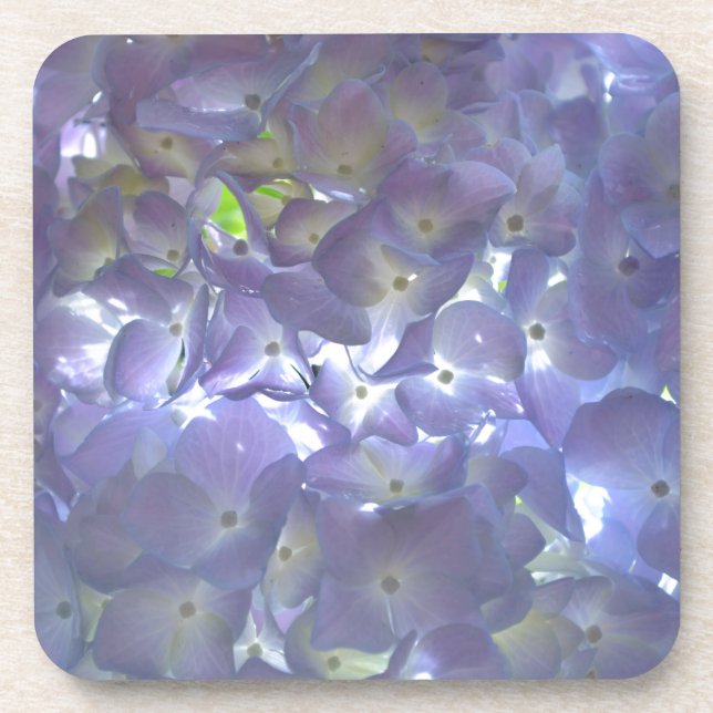 Porta-copo Flores roxas roxas, poeiras, empoeiradas (Frente)