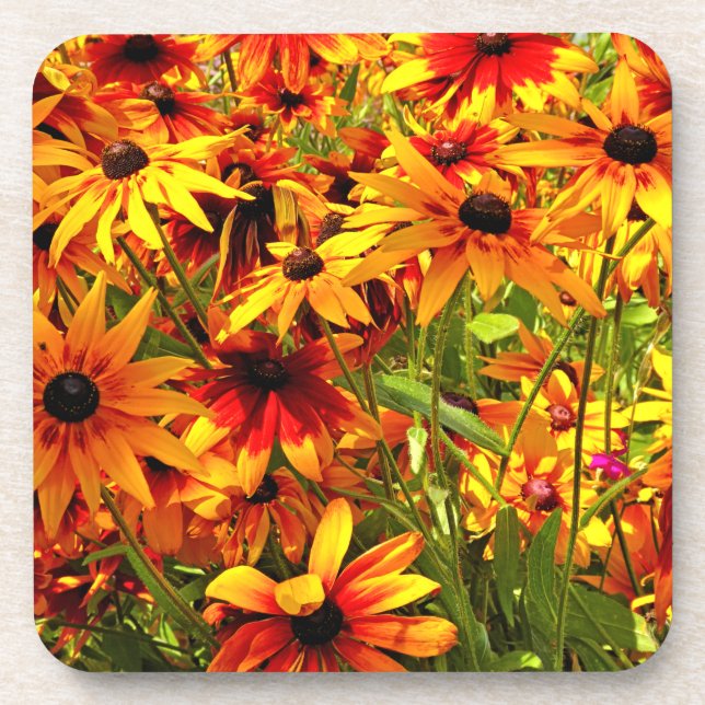 PORTA-COPO FLORES RUDBECKIA (Frente)