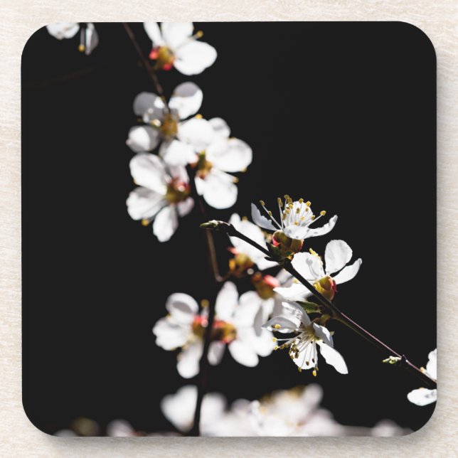 Porta-copo Flores Sakura (Frente)