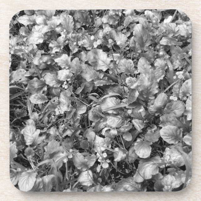 Porta-copo Flores Selvagens Pretas e Brancas (Frente)