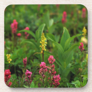 Porta-copo Flores Silvestres de Verão Enchem de Cores Vibrant