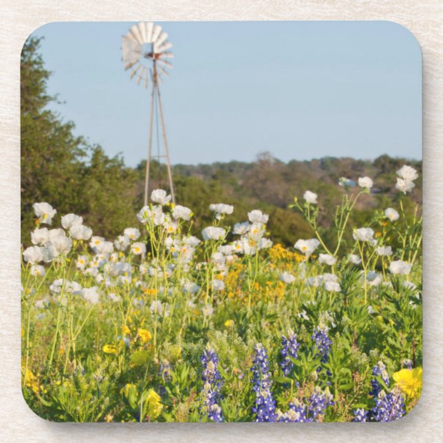 Porta-copo Flores Silvestres e Moinho de Vento no Texas Hill  (Frente)