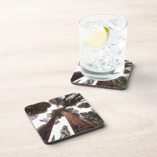 Porta-copo floresta, árvore