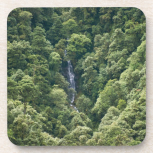 Porta-copo Floresta do Himalaia no vale de Mangdue, Butão