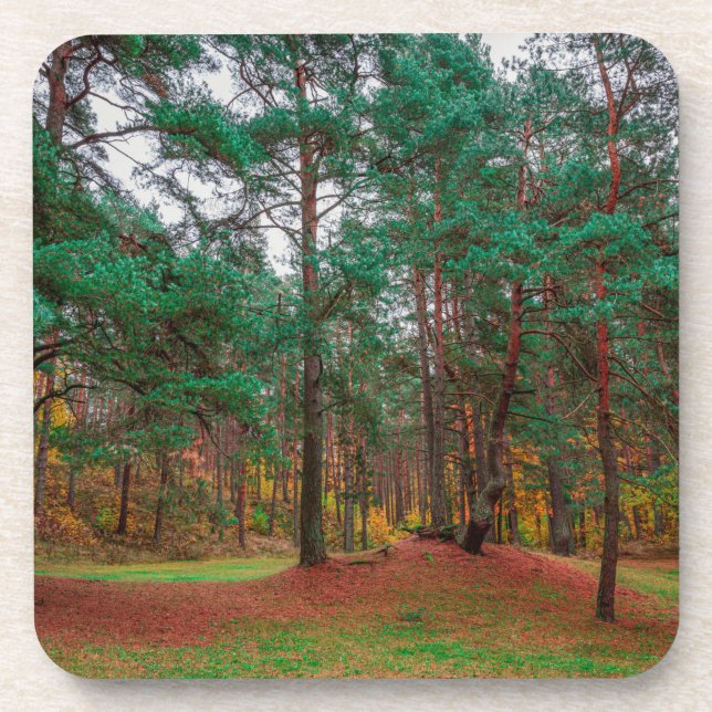 Porta-copo Floresta do outono (Frente)
