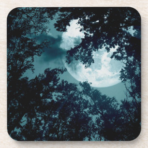 Porta-copo Floresta Noturna Encantadora com Lua Cheia