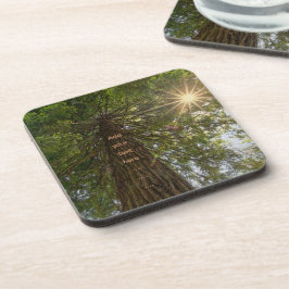Porta-copo Floresta Pacífica Com Foto De Luz Dourada