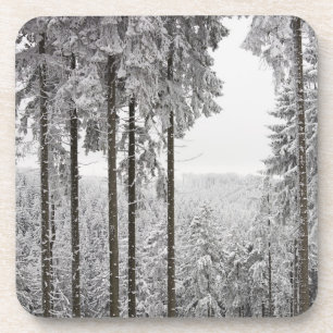 Porta-copo Floresta verde no inverno