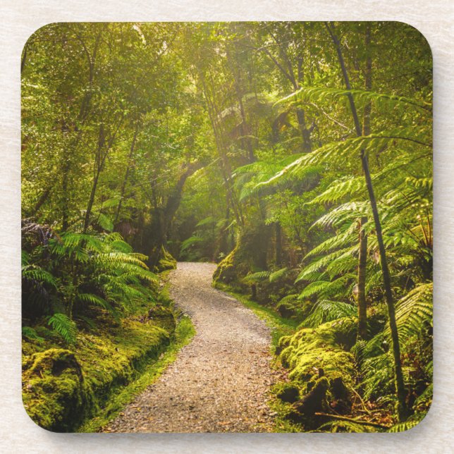 Porta-copo Florestas | Caminho Para A Floresta (Frente)