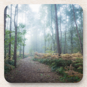 Porta-copo Florestas Dark Foggy Woods Norfolk UK