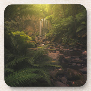 Porta-copo Florestas Destaques da luz solar Cascata