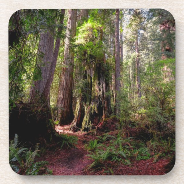 Porta-copo Florestas | Sequoias Forest California (Frente)