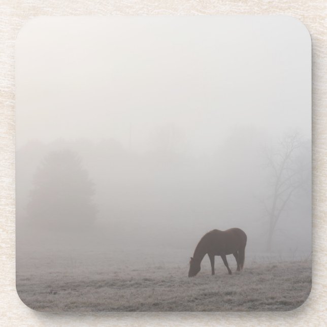 Porta-copo Foggy Grazing (Frente)