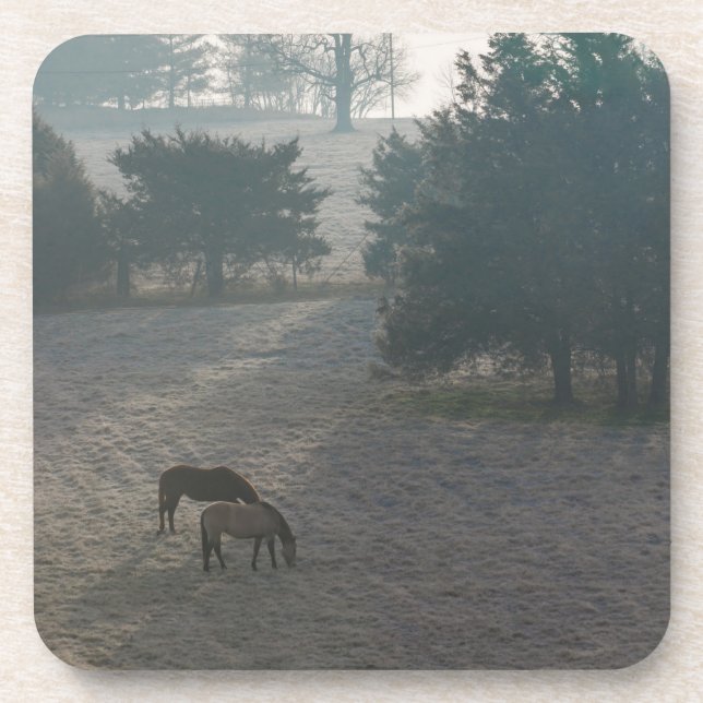 Porta-copo Foggy Grazing (Frente)