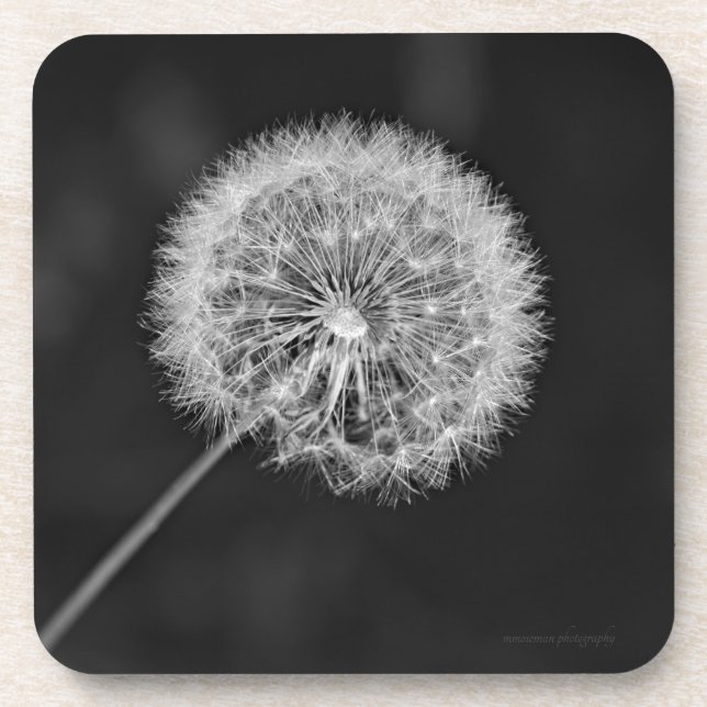 Porta-copo Foi para a Semente (Frente)