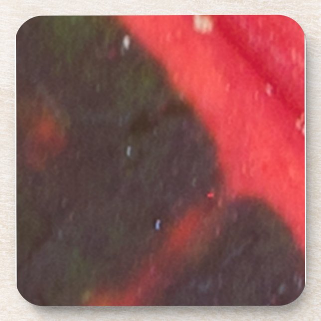 Porta-copo Folha Variegada do Havaí Vermelho e Verde (Frente)