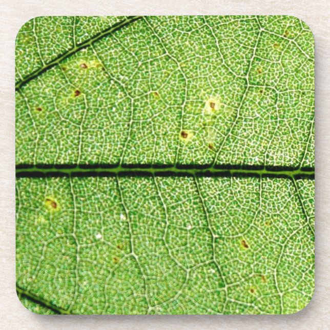 Porta-copo Folha Verde Extreme (Frente)