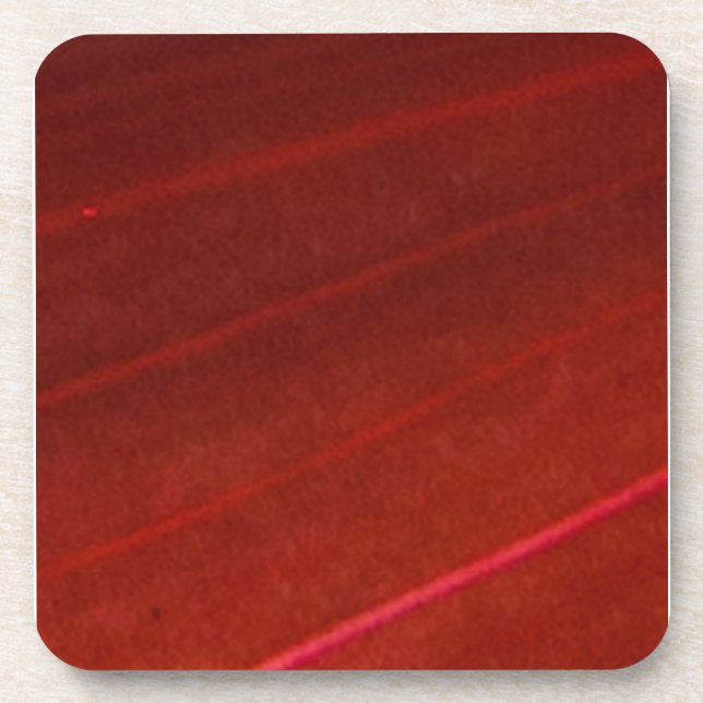 Porta-copo Folha Vermelha Variegada Havaiana 4 (Frente)