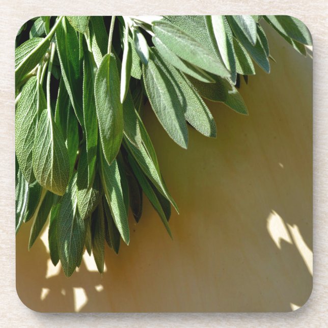 Porta-copo Folhas de ervas verdes e botânicas elegantes (Frente)
