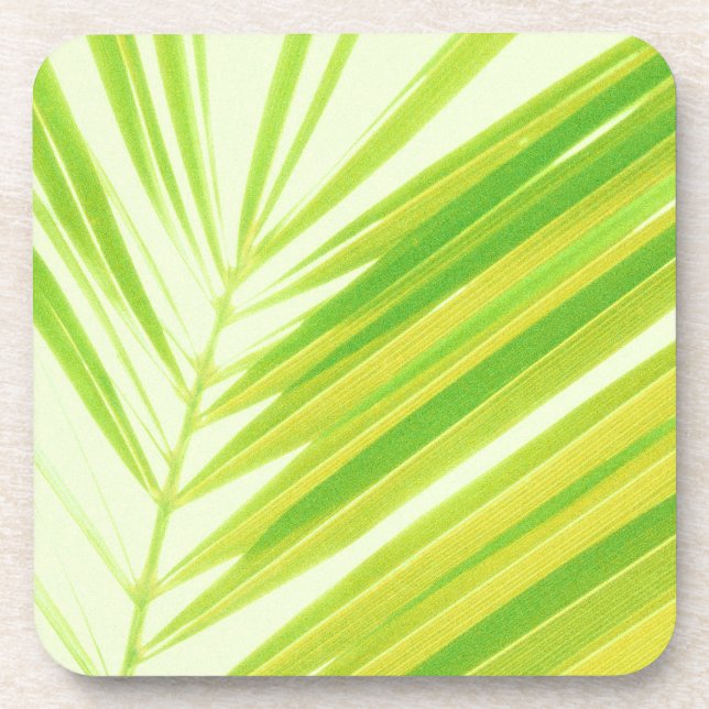Porta-copo Folhas de Palma de Pastel Verde-Pálidas (Frente)
