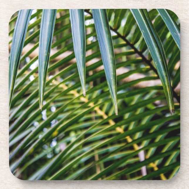 Porta-copo Folhas tropicais verdes (Frente)